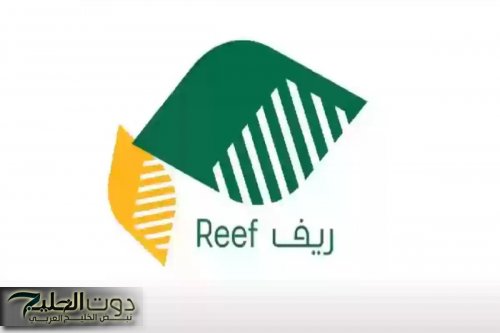 فرصتك تبدأ من هنا.. اعرف إزاى تسجل فى دعم الريف وتاخد المساعدة وانت قاعد فى بيتك بكل سهولة