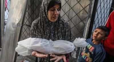 أخبار اليمن : ارتفاع حصيلة شهداء غزة إلى 54,381