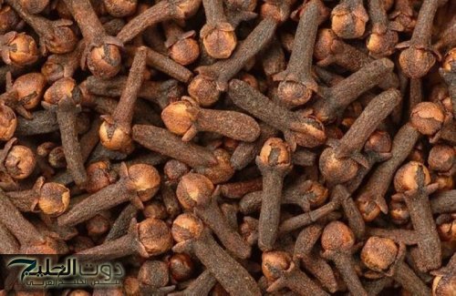 الطبيعة هتعمل في شعرك فرق.. استخدمي القرنفل بهذه الطريقة وستحصلي على شعر ناعم وطويل من أول استخدام..!!