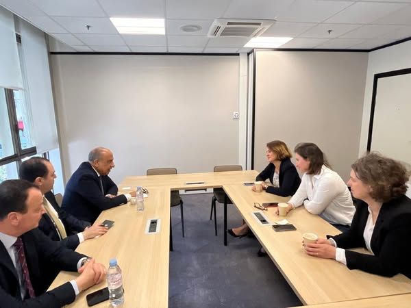  وزير الكهرباء يبحث مع EDF الفرنسية تعزيز التعاون في مشروعات…