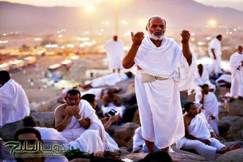 جامعيون يتطوعون لخدمة الحجاج ببرنامج ضيوف خادم الحرمين