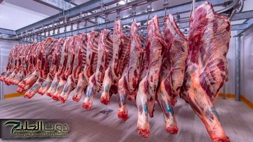 أسعار اللحوم الحمراء اليوم في مصر الأربعاء 4 يونيو 2025.. ارتفاعات جديدة في البلدي والمستورد وتحديثات من الأسواق والمجازر