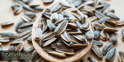 مفاجأة تقلب الموازين .. مفاجاة للجميع لن تصدق مايحدث لجسمك عند تناول اللب السوري.. يا ريتنا عرفنا من زمان!!