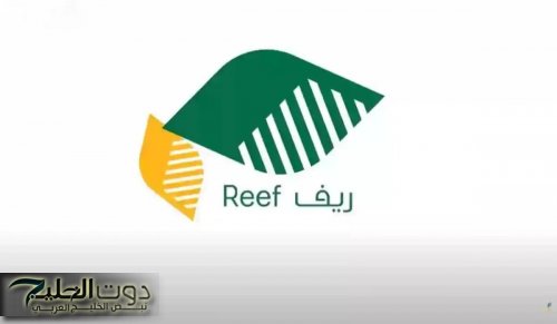 فرصة ما تتعوضش لكل بيت فى السعودية.. افتح باب رزقك من جديد مع دعم ريف بشروط سهلة وخطوات ولا أسهل