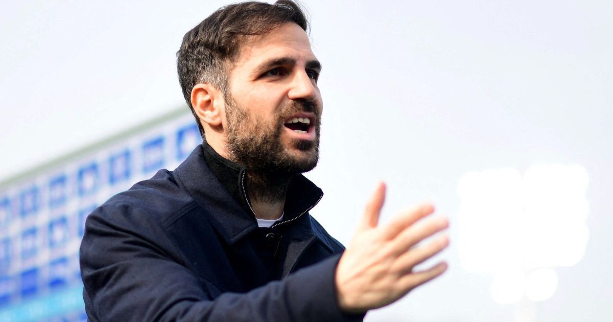 خطوة جريئة.. إنتر ميلان يتواصل مع فابريغاس لخلافة إنزاغي