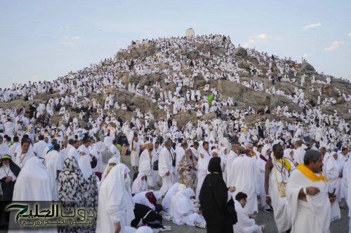 125 شاشة تنقل 700 ألف رسالة توعوية للحجاج في مسجد نمرة