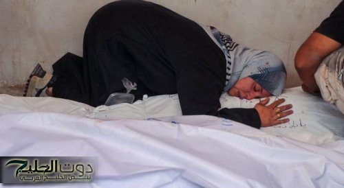 22 شهيدًا في غزة منذ الفجر .. الاحتلال يقصف منازل نازحين ويصعّد عدوانه