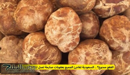 الفقع ممنوع؟ .. السعودية تفاجئ الجميع بعقوبات صارمة تصل لـ100 ألف ريال