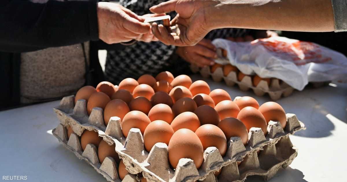 العالم اليوم - أزمة صحية.. لماذا سُحبت 1.7 مليون بيضة من الأسواق الأميركية؟