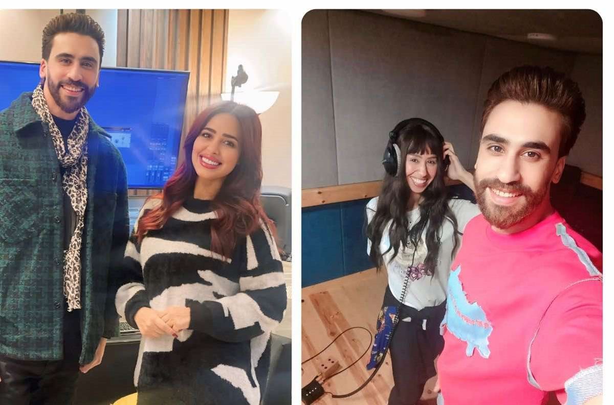 الملحن محمد مصطفى بين تعاونين غنائيين مع رنا سماحة وإيناس عز الدين