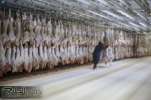 توزيع 60 ألف مغلف لحوم في مدن المملكة العربية السعودية