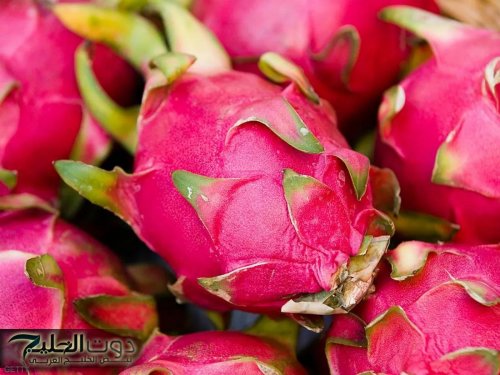 «فاكهة الجمال والطاقة؟!!».. الرمان سر الصحة المتكاملة وفوائده المذهلة لجسمك لا تُعد ولا تُحصى!