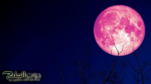 قمر الفراولة يظهر في سماء السعودية ولن يتكرر حتى 2043
