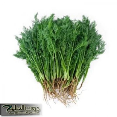 «روسيا والسعودية هيموتوا عليها»... عشبة خضراء برائحة حلوة وبسعر التراب تزيل السموم من الجسم وتمنع ارتفاع سكر