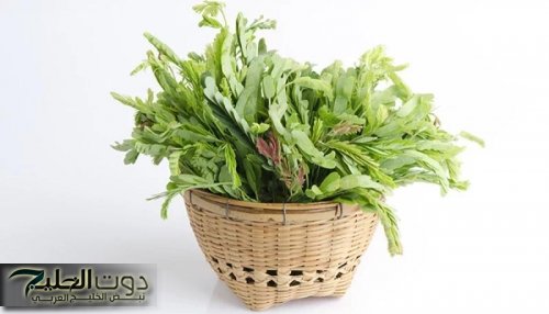 ممنوع منعاً باتاً شرب هذا المشروب اللذيذ الطعم يرفع السكر التراكمي والدم بشكل جنوني ويسبب فشل كلوي على الفور