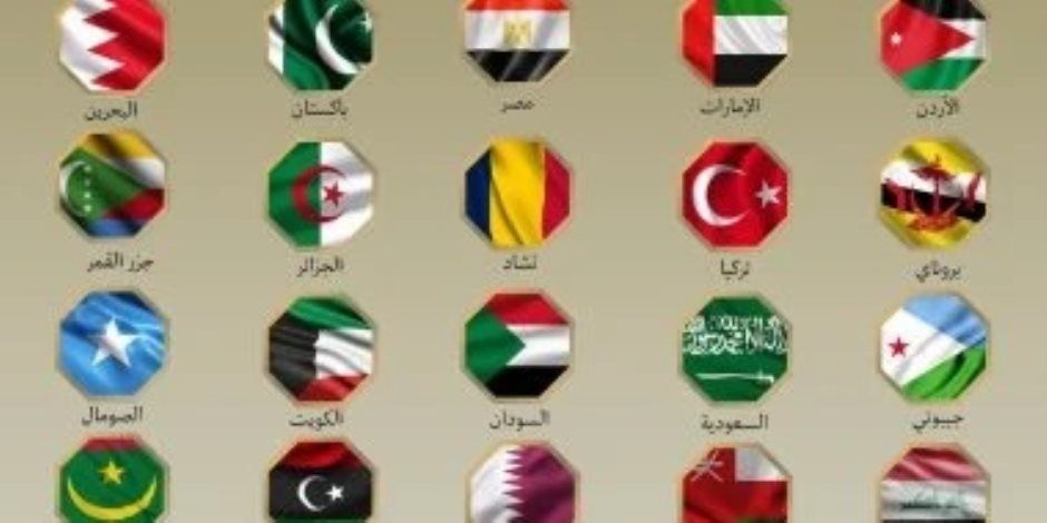 بيان مصري دولي يدين الهجمات الإسرائيلية على الجمهورية الإيرانية