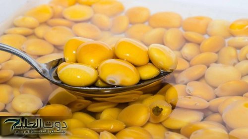 “أهم من بترول الخليج كله".. مياه سلق الترمس فيها سر اغلى من الذهب ضاع عمرنا قبل ما نعرفه.. الكوريين