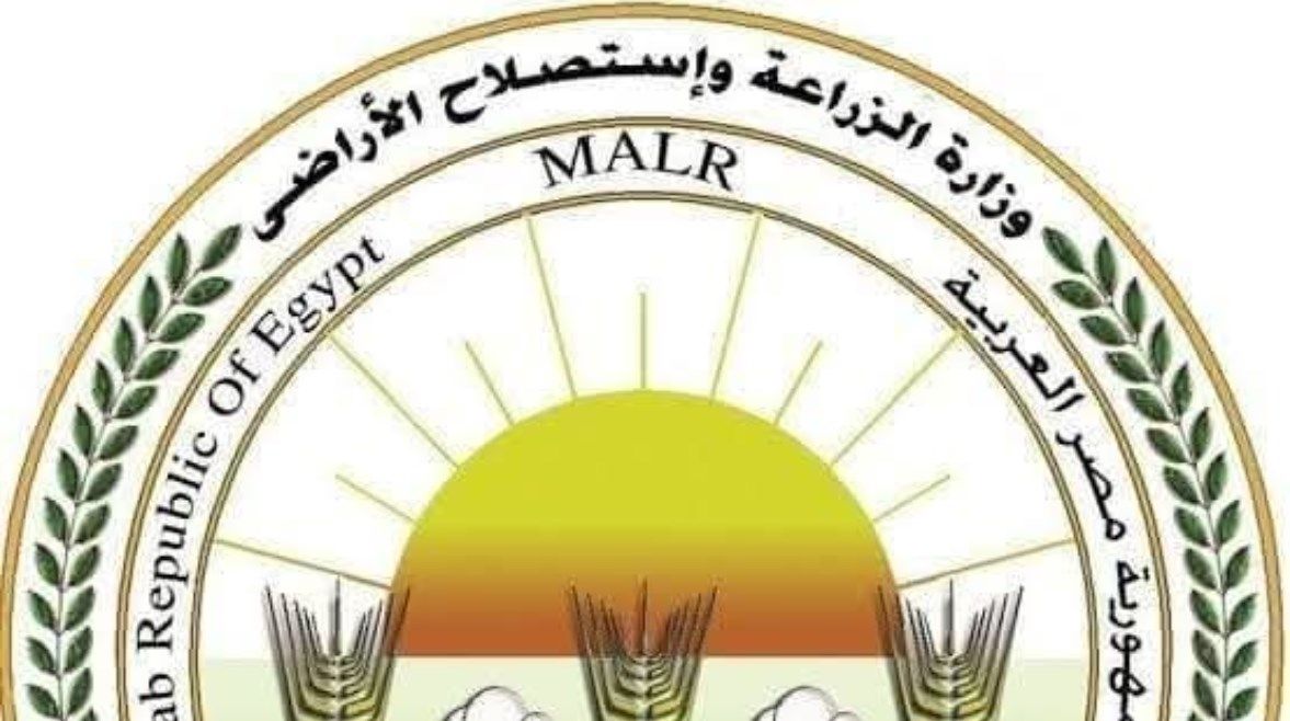 الزراعة تكشف حقيقة وجود عجز في خامات الأعلاف