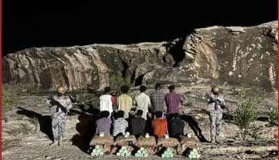 حرس الحدود بعسير يقبض على 10 مخالفين لتهريبهم 200 كيلوجرام من القات المخدر