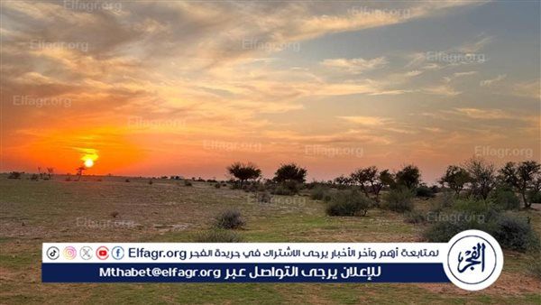 محمية الإمام تركي تفعّل اليوم العالمي لمكافحة التصحر.. «معًا لبيئة أكثر ازدهارًا» أخبار الأربعاء 18 يونيو