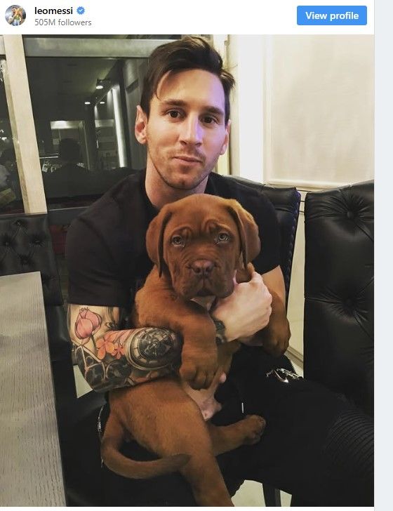 ميسي دون صديقه المدلل.. سر غياب الكلب “هالك الخرافي” عن كأس العالم