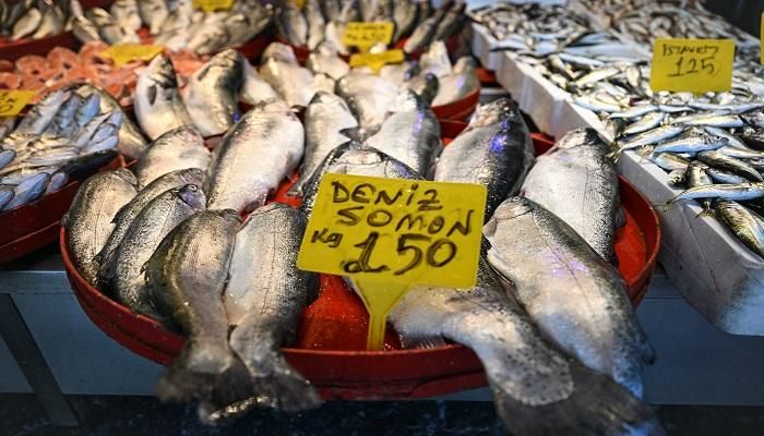 الذهب الوردي من البحر الأسود.. السلمون التركي يغزو موائد العالم (صور)