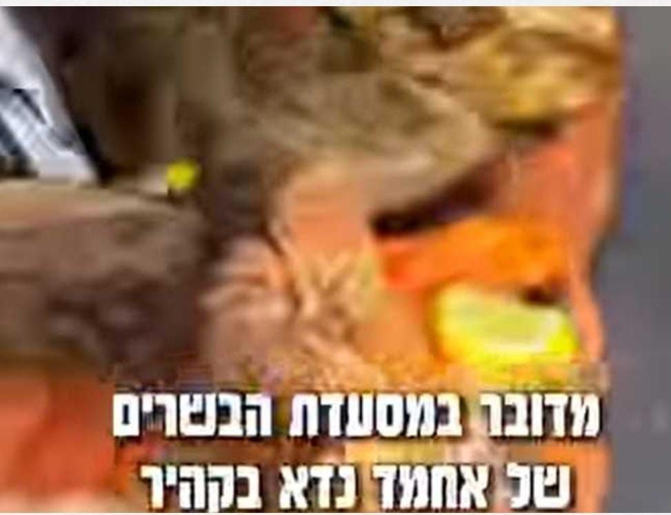 “لهيب الكباب” يتصاعد.. “مشويات” مصر تتضامن ضد غضب إسرائيل