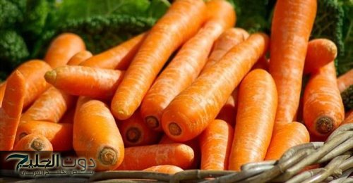 الخضار الوحيد اللي ليه قيمة كبيرة.. استخدمه كل يوم وشوفي ايه اللي ممكن يحصلك مش هتصدق نفسك هدية ربانية