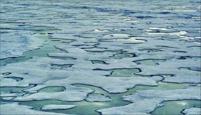 برك الجليد في أنتاركتيكا.. اكتشاف علمي يتجاوز كوكب الأرض