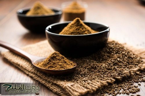 عشبة رخيصة جدًا وفي نفس الوقت فوائدها من دهب.. تقضي على الإمساك وأحسن حل لتنشيط الدماغ والذاكرة