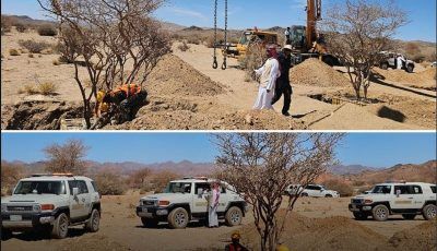 استغرقت نحو 4 أشهر.. نقل دقيق لأشجار معمّرة بالمدينة المنورة لحمايتها ضمن مشاريع الغطاء النباتي