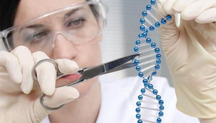 علماء يكتشفون آلية جينية تساعد على استعادة الأطراف المفقودة