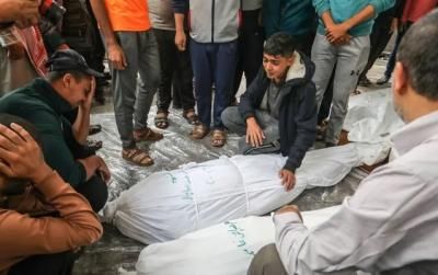 أخبار اليمن : ارتفاع عدد شهداء غزة إلى 56077