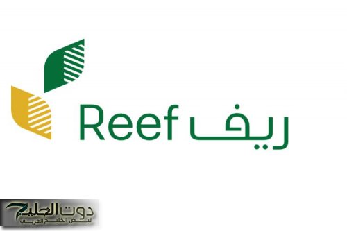 دليلك الشامل | كيفية الحصول على دعم ريف لربات البيوت 1447 الشروط والخطوات للتسجيل