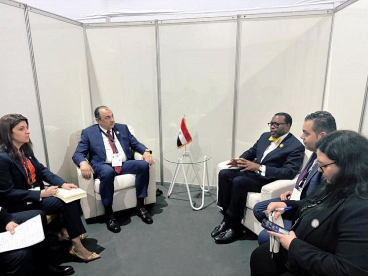 عاجل.. الأفريقي للتنمية يدعو مصر لخطة تمويل إنشاء محطات…