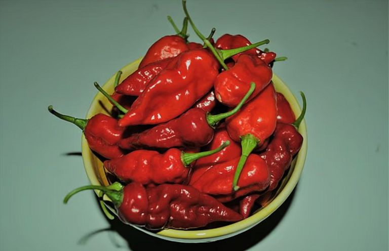 عاجل: قنبلة في المعدة.. تحذير طبي من الفلفل الحار