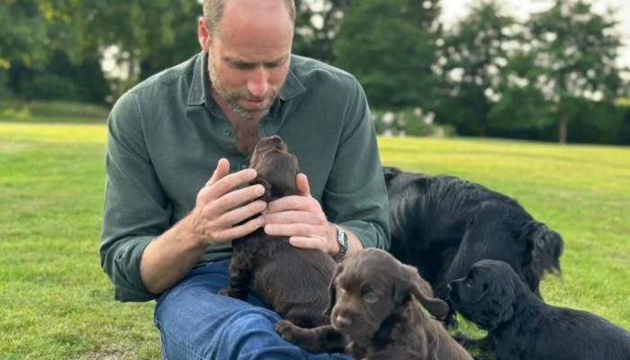 عاجل: انتقاد للأمير ويليام وكيت بسبب إنجاب كلبة العائلة