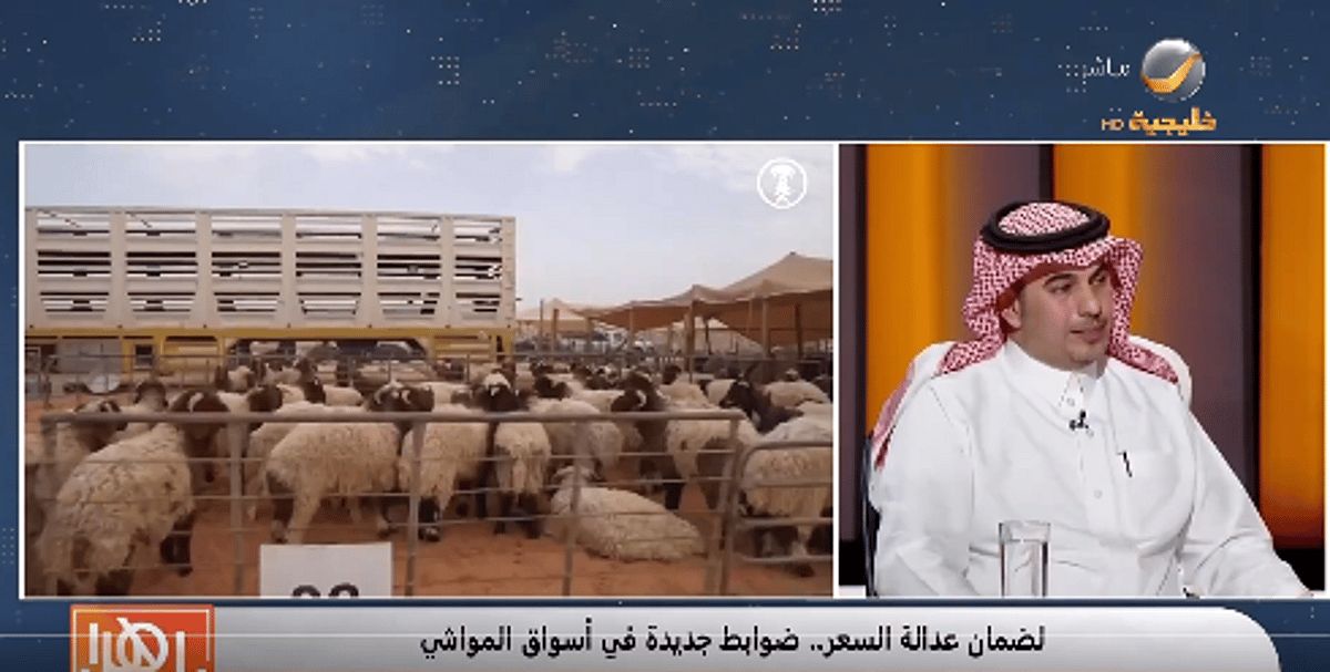 عاجل: الشراء عبر التطبيقات يشترط فيه تحديد الوزن للمواشي الحية