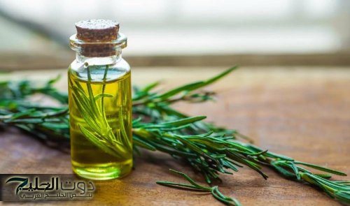 «مفاجأه من العيار التقيل»… عشبة بسيطة موجودة في كل منزل دون أن تعلم الكنز العجيب والكبير الذي تحتوي!!؟