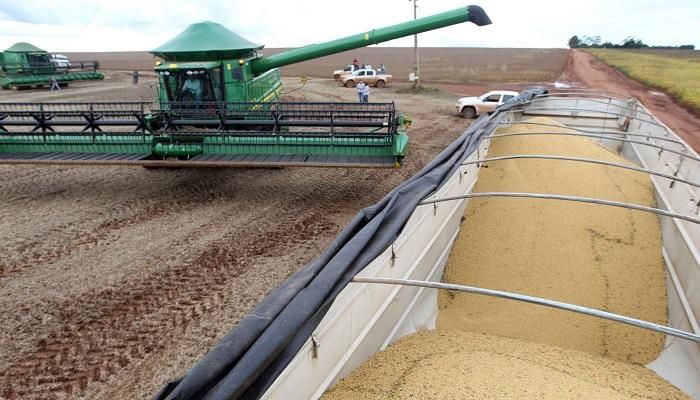 عاجل: موسم وفير بلا مشترين.. صادرات الحبوب البرازيلية تصطدم بتوترات الشرق الأوسط