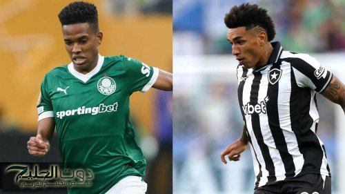 قمة برازيلية.. موعد مباراة بالميراس وبوتافوجو في ثمن نهائي كأس العالم للأندية 2025