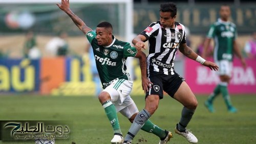 مشاهدة مجانية.. القنوات الناقلة لمباراة بالميراس وبوتافوجو في ثمن نهائي كأس العالم للأندية 2025