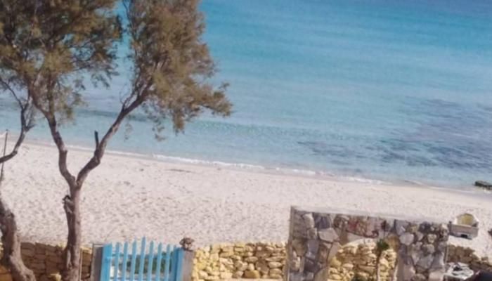 عاجل: سلقطة التونسية.. لؤلؤة الشواطئ وأنشودة الطبيعة