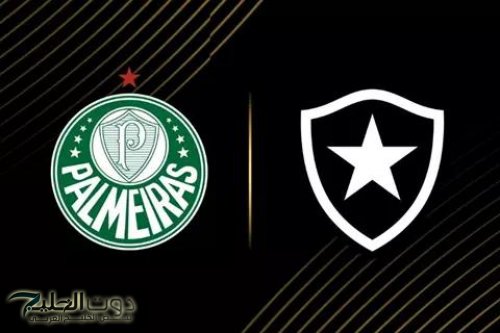 Palmeiras vs Botafogo ما القنوات الناقلة لمباراة بالميراس وبوتافوجو في ثمن نهائي كأس العالم للأندية 2025؟