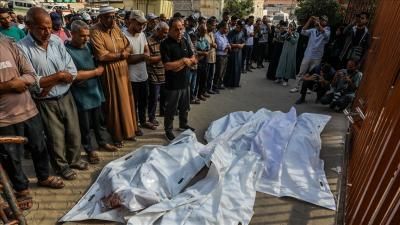 أخبار اليمن : ارتفاع حصيلة شهداء غزة إلى 56500