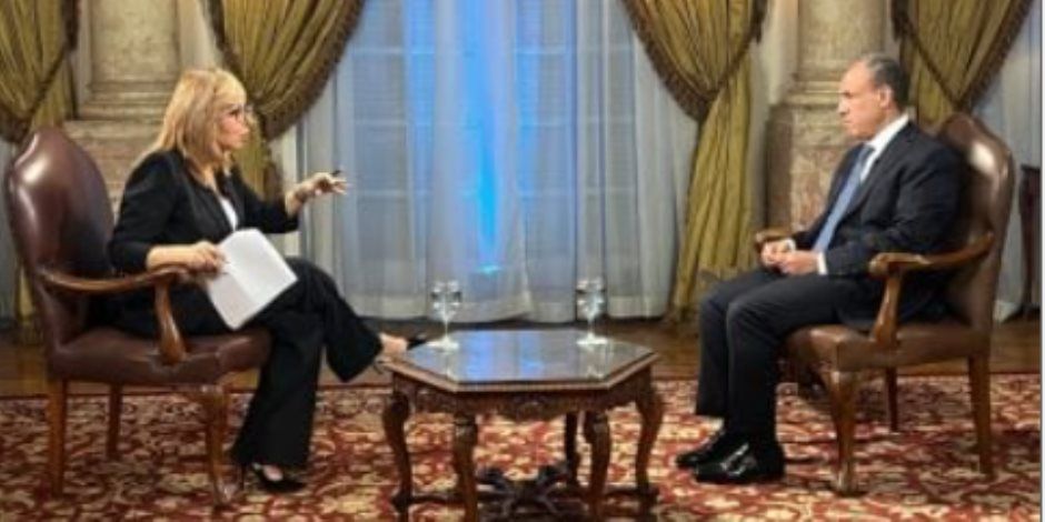 وزير الخارجية: مصر ترى أنه لا أمن ولا استقرار بدون حل القضية الفلسطينية