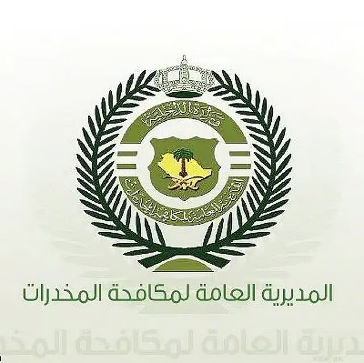 عاجل: «مكافحة المخدرات» تقبض على شخصين بمنطقة الجوف لترويجهما مواد مخدرة