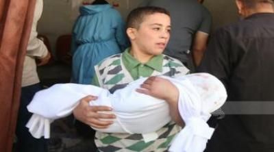 أخبار اليمن : ارتفاع عدد شهداء غزة إلى 56531