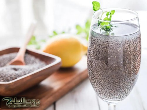 ضاع عمرك من غير ما تجربيها.. ماذا يحدث لجسمك عند تناول بذور الشيا؟| إزاي كانت غايبة عننا