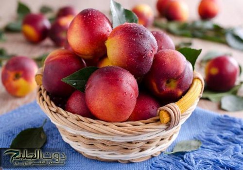 "الخوخ اللي بتاكله ممكن يموتك!.. تحذير صادم من صاحب محل فاكهة: السم جوه الثمرة!"